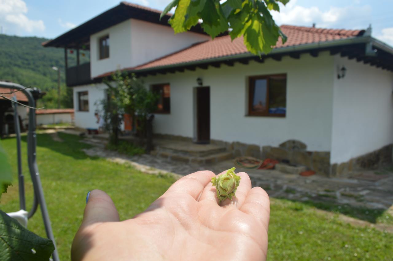 Guest House Yana Tŭrkasheni Dış mekan fotoğraf