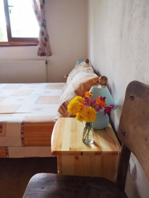Guest House Yana Tŭrkasheni Dış mekan fotoğraf
