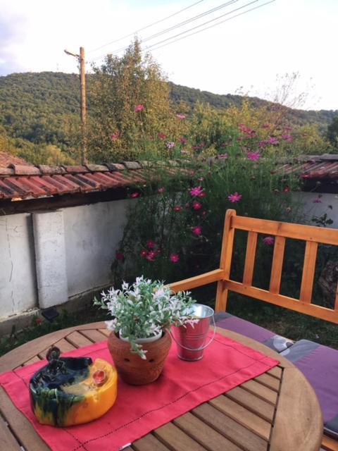 Guest House Yana Tŭrkasheni Dış mekan fotoğraf