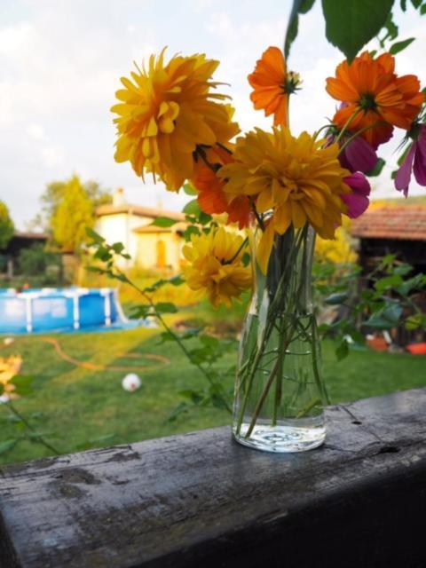 Guest House Yana Tŭrkasheni Dış mekan fotoğraf